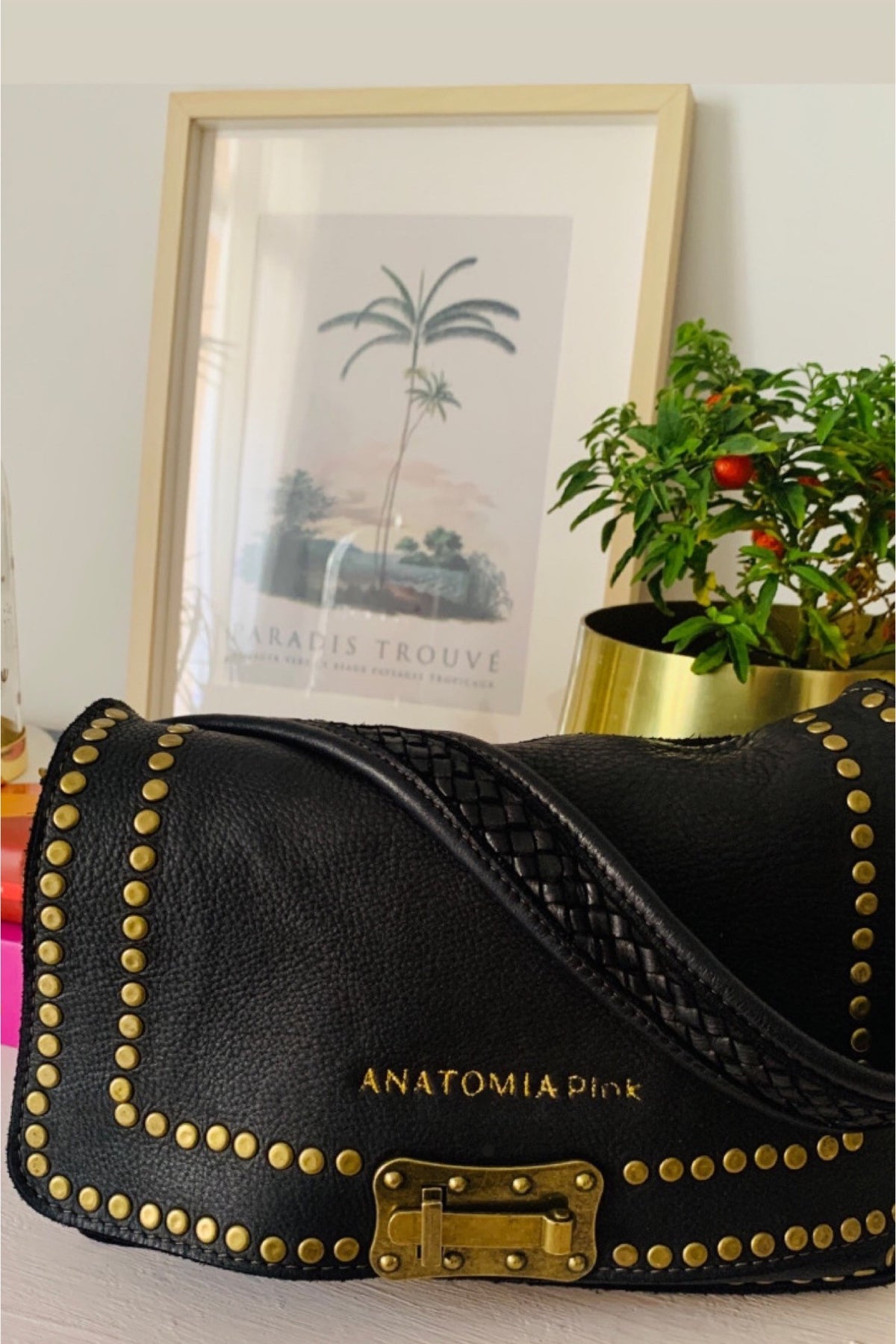 Bolso ANATOMIA